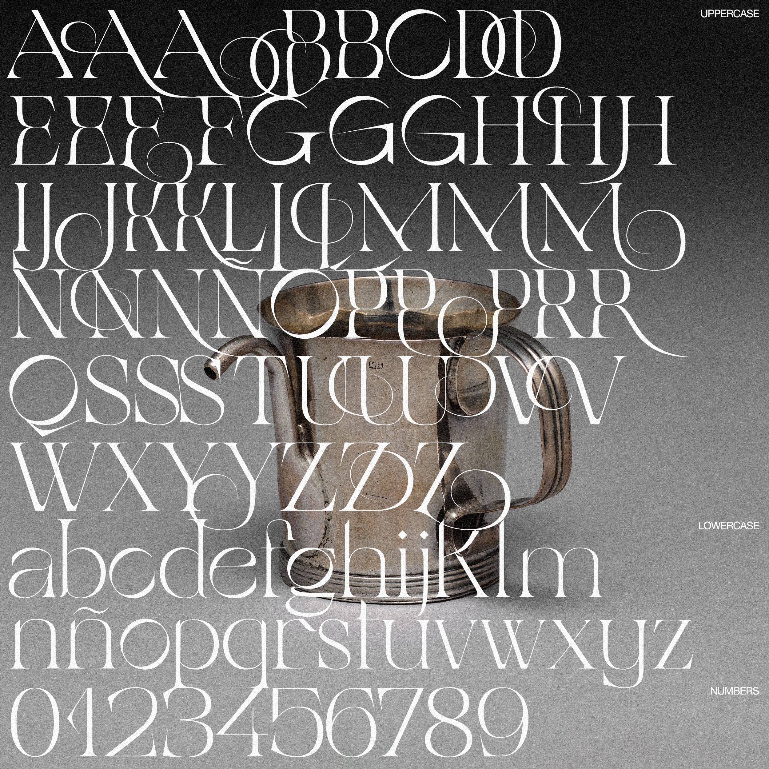 Belle de Mai - Image 4