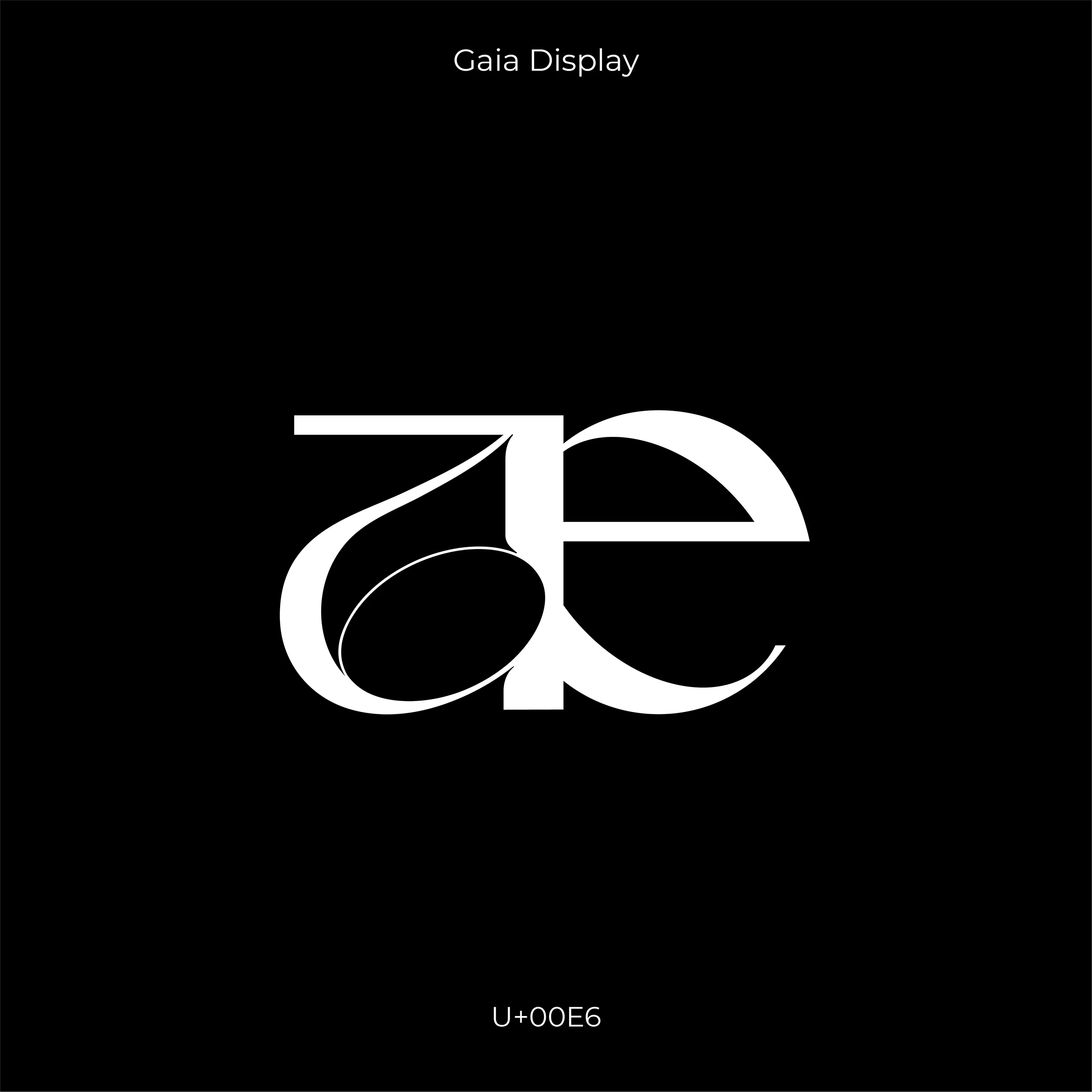 Gaia Display - Image 8