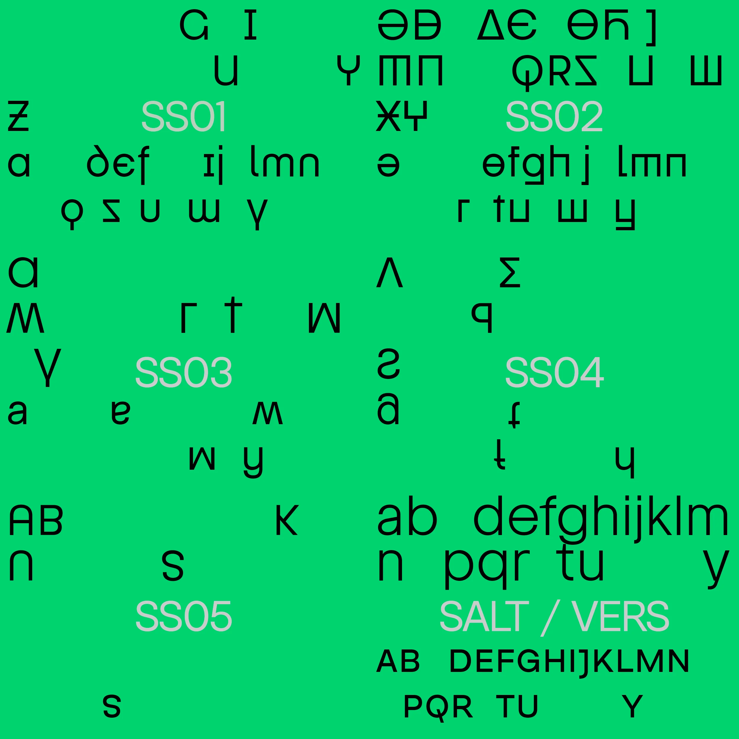 INDG Alvica - Image 8