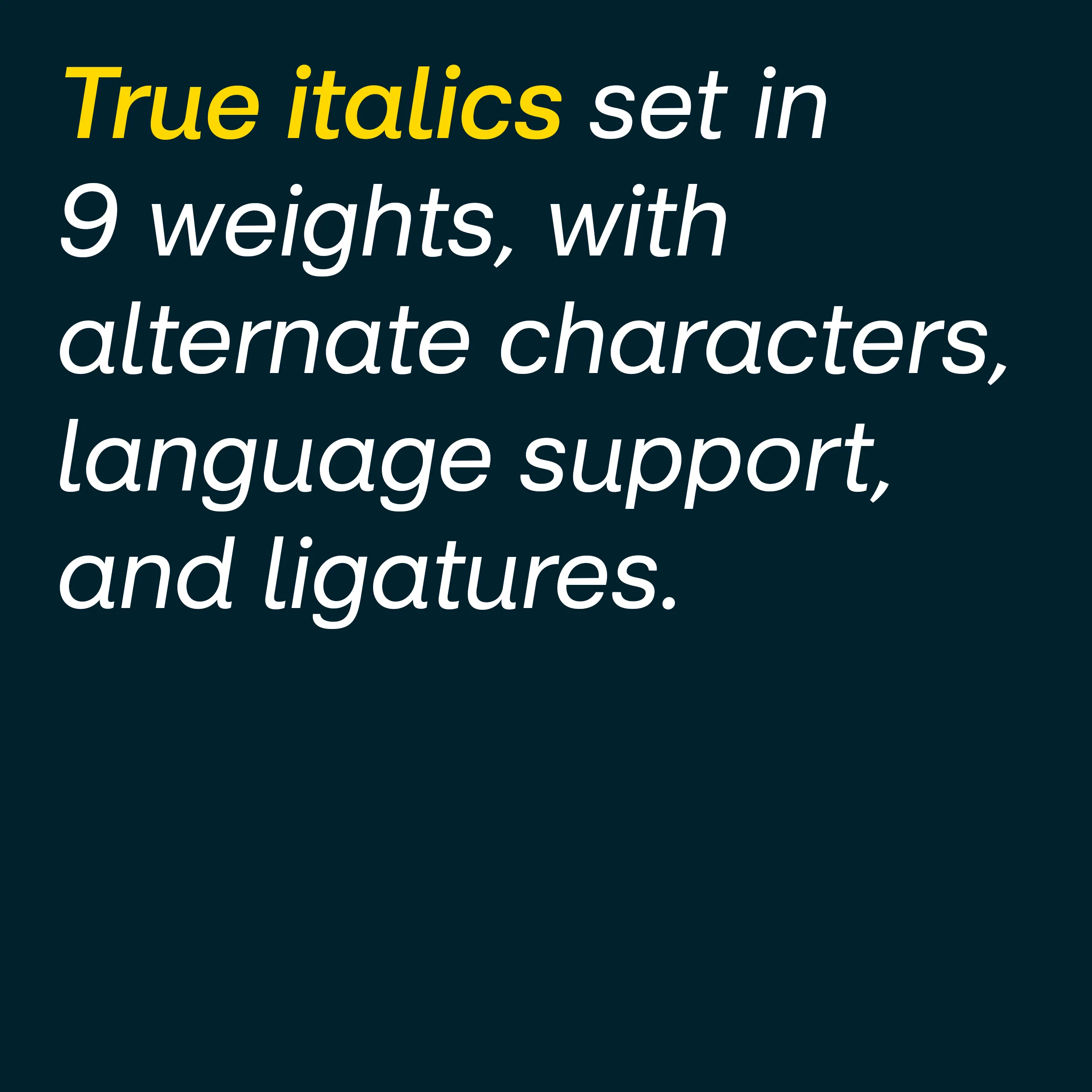 Novelo Italic - Image 3