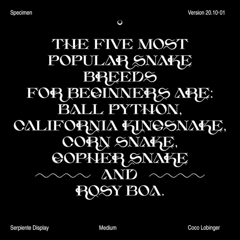 Serpiente Display Medium - Image 10