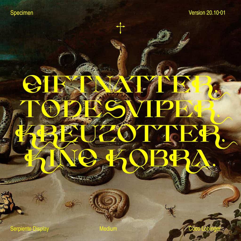 Serpiente Display Medium - Image 11