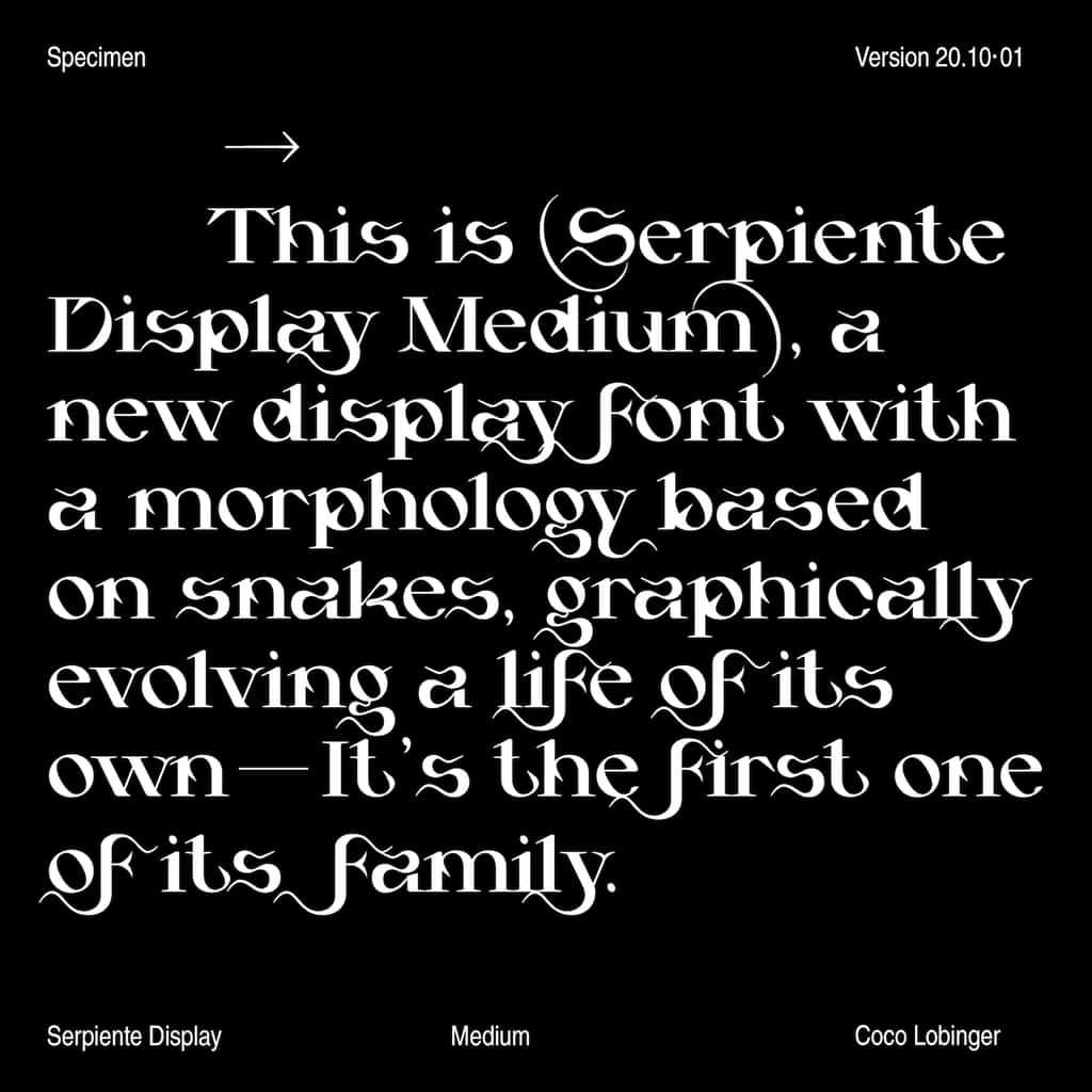 Serpiente Display Medium - Image 12