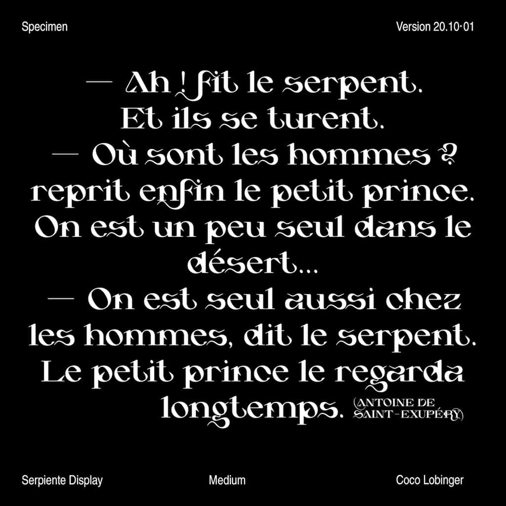 Serpiente Display Medium - Image 14