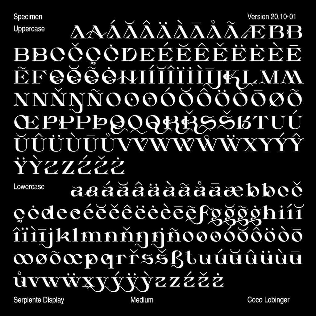 Serpiente Display Medium - Image 3