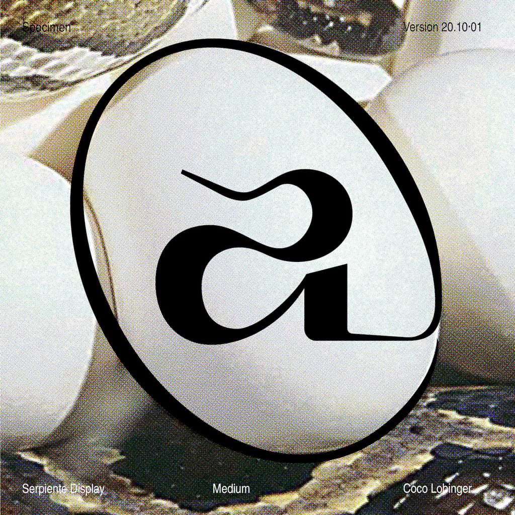 Serpiente Display Medium - Image 5