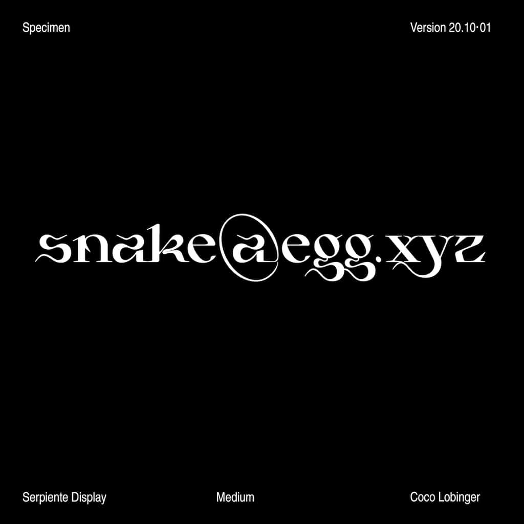 Serpiente Display Medium - Image 6