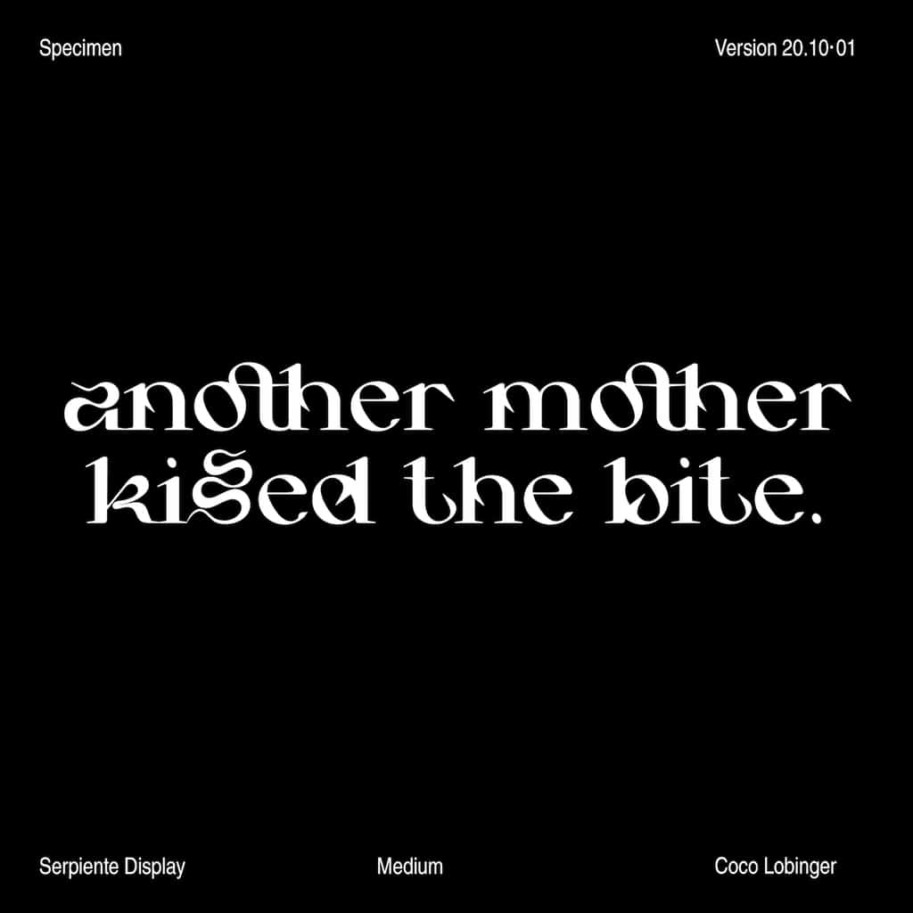 Serpiente Display Medium - Image 7