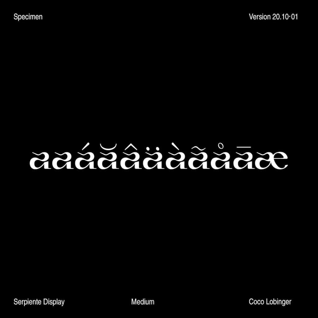 Serpiente Display Medium - Image 9